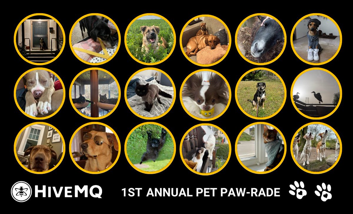 For National Pet Day, the HiveMQ team celebrated with a pet parade to show off our furry and feathered teammates. HiveMQ donated to the Humane International Society on behalf of our pet parents to say thank you for being on our team. 🐝 loom.ly/Hz_q58Y 🐝