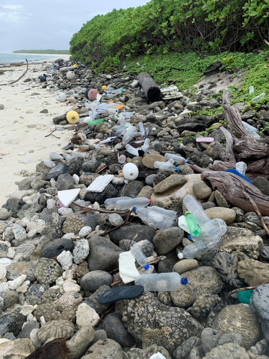 @NHM_London @PitcairnMPA @PlasticOdyssey @AIGConservation @SHnationaltrust @ZSLconservation @OfficialZSL Remote Marine Protected Areas such as the Chagos Archipelago are disproportionately affected by plastic pollution, most of which comes from elsewhere. Identifying the sources of the debris from data on drinks bottles allows for upstream solutions and manufacturer accountability