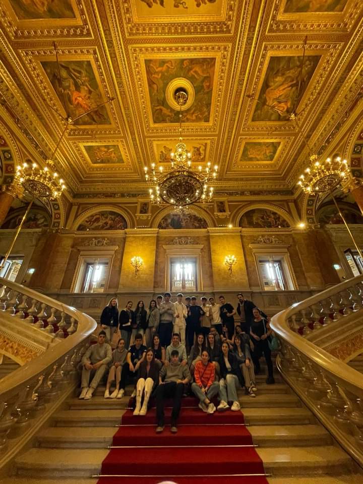 IES VADINIA tweet media