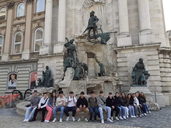 IES VADINIA tweet media