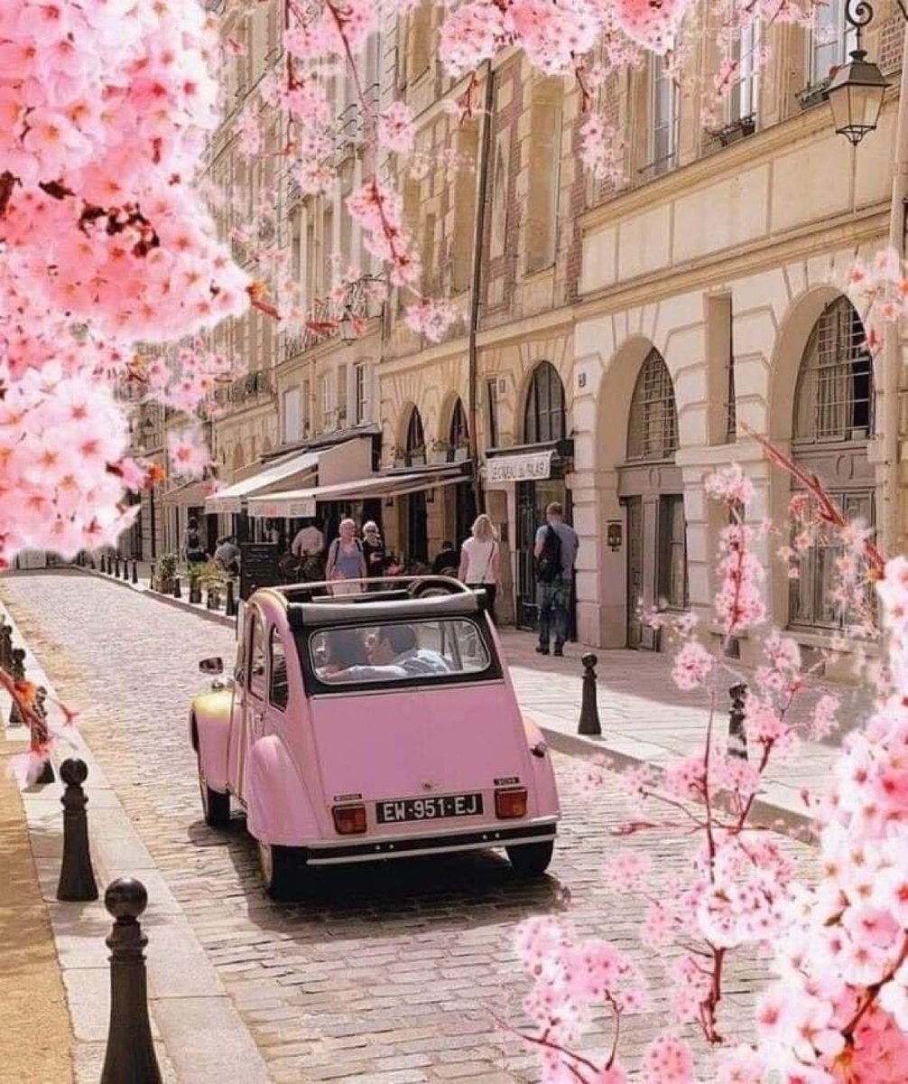 Let’s go to the weekend 🍃🌸 #Springvibes 🪻🌸