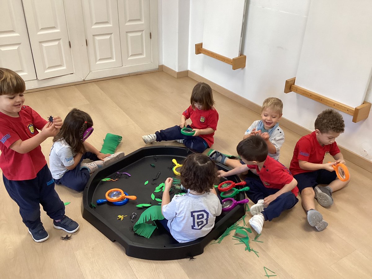 Our Pre-Nursery B students at Brains Las Palmas are real scientists! 🧑‍🔬 Look at them observing insects with their magnifying glasses! 🔎 🐞 Well done, Pandas! 👏👏