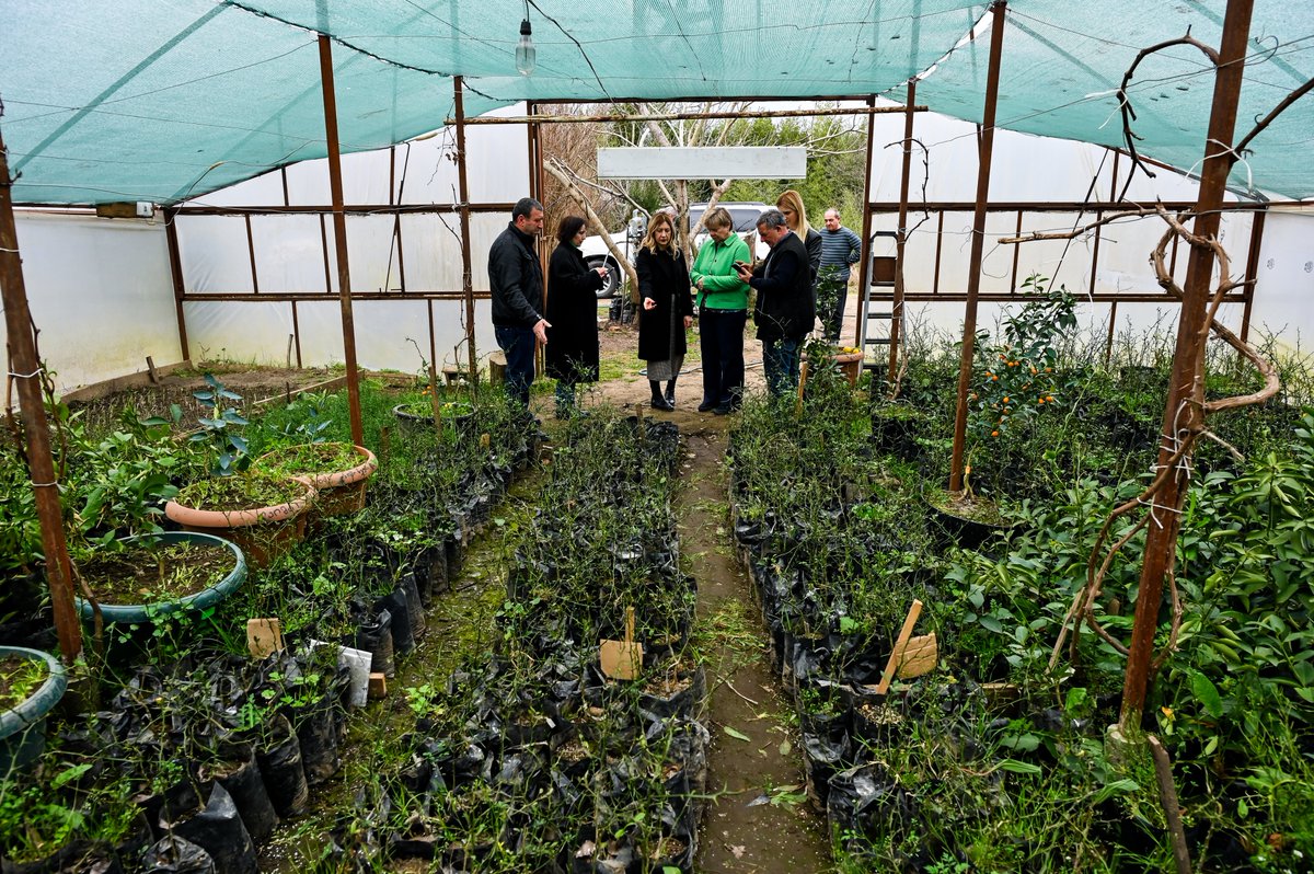 During our recent trip to Guria, we visited Zeinashvili citrus farm cultivating exquisite limes.

UNDP, @SwissDevCoop, @agricultureGEO support this family business as part of our broader assistance to small farmers across 🇬🇪.

EXPLORE: undp.org/georgia/projec…

🇺🇳🇨🇭#PartnersAtCore