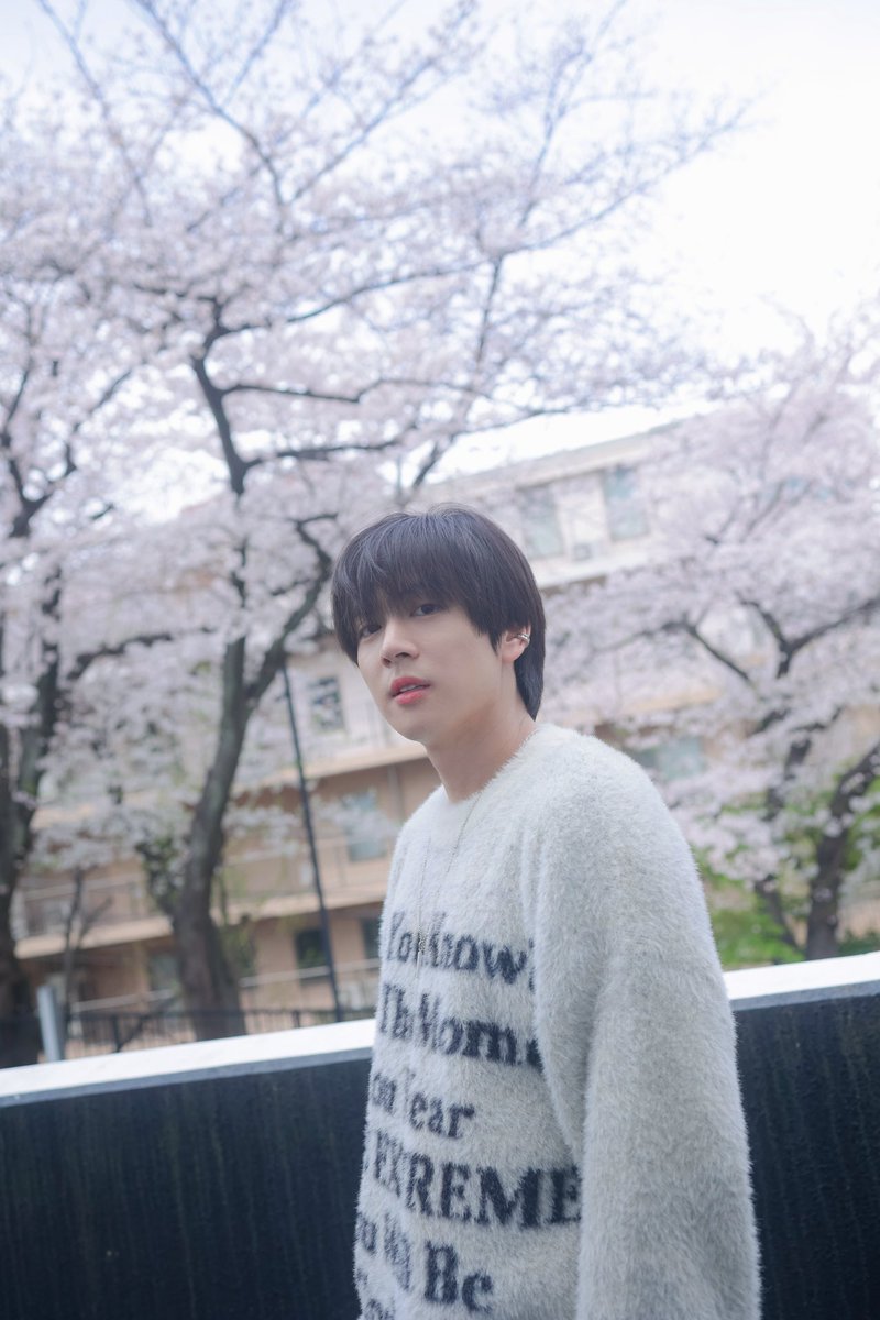 T_Aiemkumchai's tweet photo. ซากุระจัง🌸 #PonThanapon https://t.co/sOa5pJx0x9