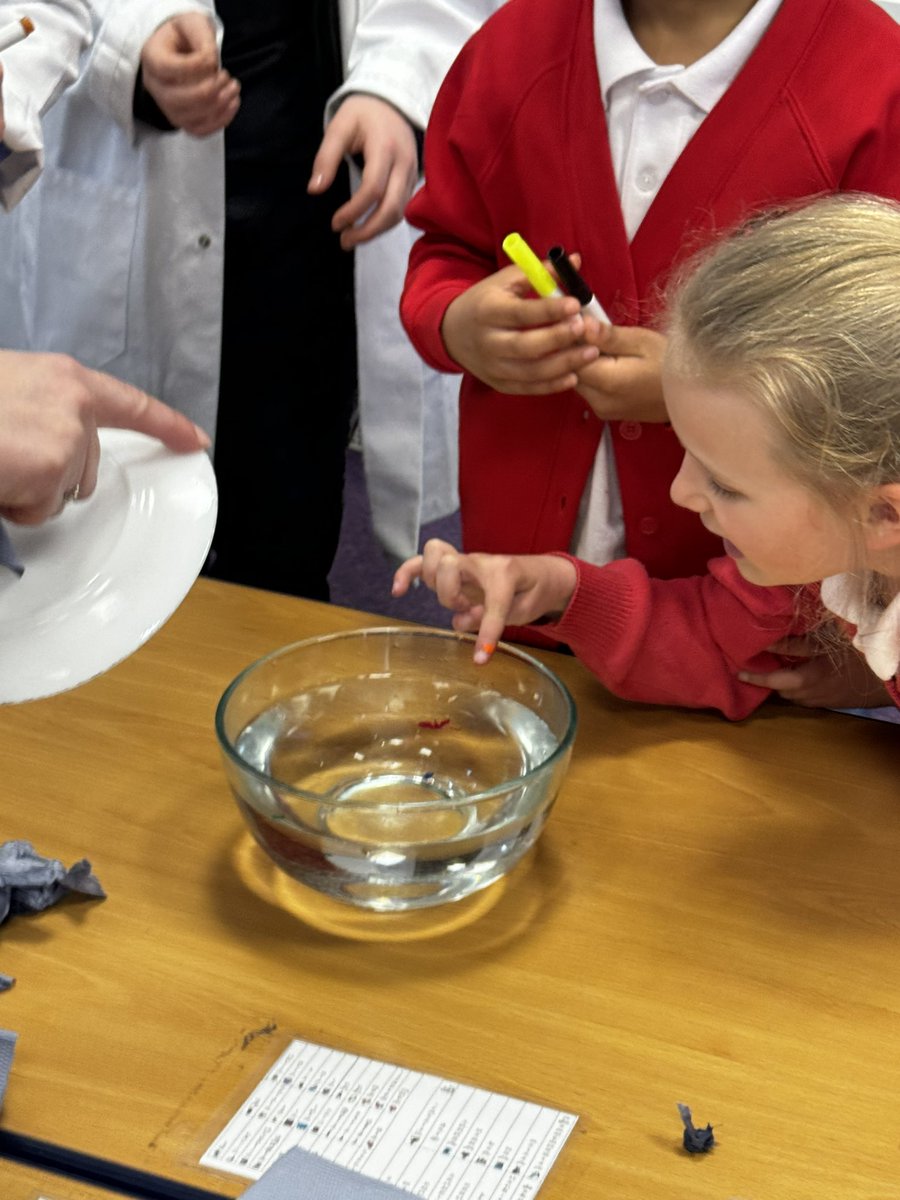 EastMortonCEP's tweet photo. Our Science Ambassadors asked the year 2 scientists “How can your writing float?” We then discovered that we can! @WeAreBDAT #ScienceatEM #CuriouserAndCuriouser https://t.co/kLrE9ptHEg