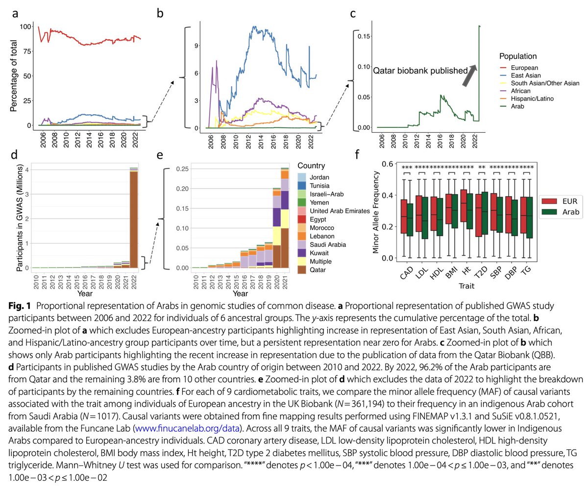 Cool to see @QatarBiobank investments paying off! @aklfahed @injeon_shim and I wrote about this in a previous edition of @GenomeMedicine …medcentral-com.treadwell.idm.oclc.org/articles/10.11… Endogamy and consanguinity increase discovery potential in these cohorts. cc: @ourhealthstudy @PRSdiversity