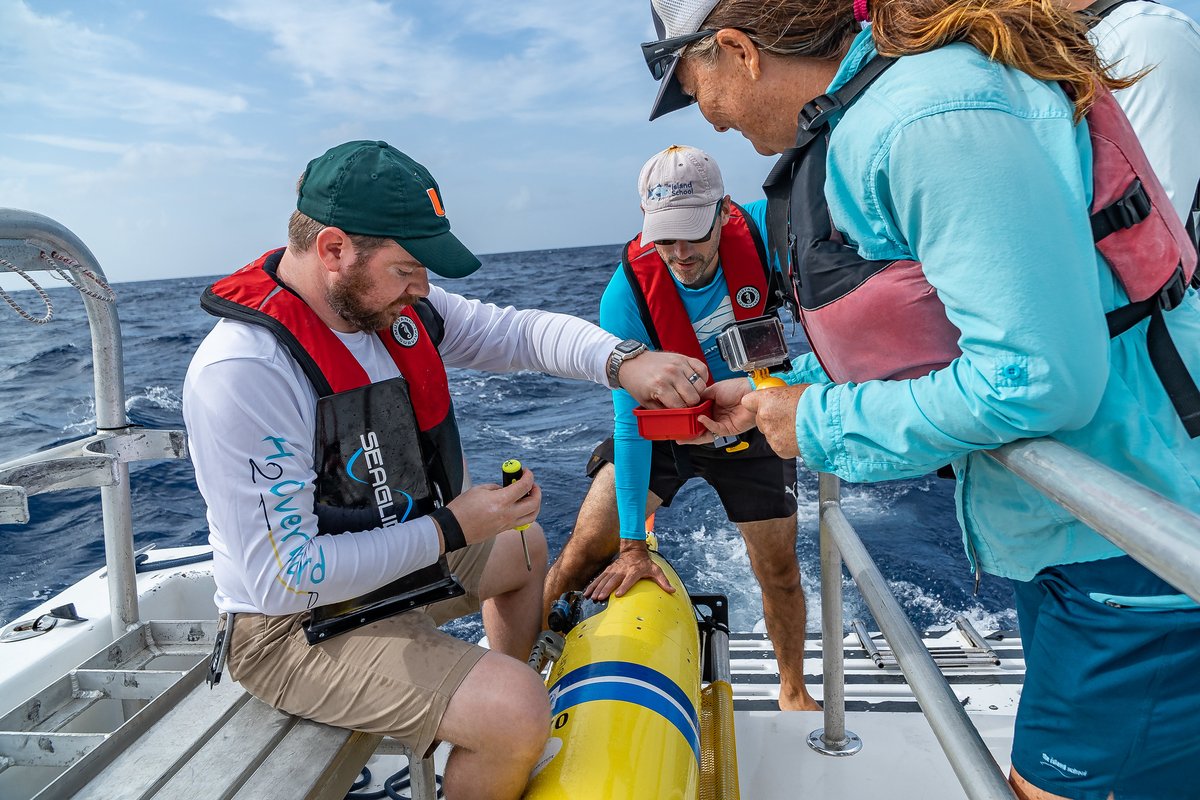 Job alert🚨 We're hiring for a graduate scientist to lead our research and teaching in #oceanography, inc. our ongoing sea glider partnership. Huge scope for an ECR to develop an independent research program. Apply here: islandschool.org/employment/cur…