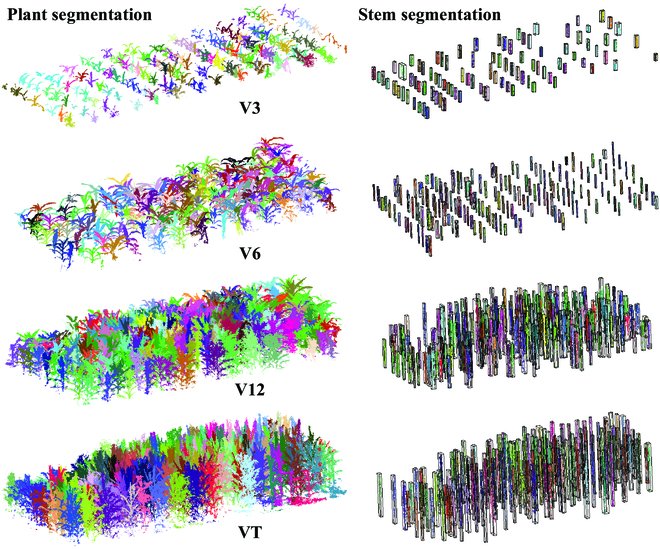 Field phenotyping platforms, crucial for plant breeding, face challenges in aligning point cloud data for accurate phenotypic trait extraction. This study uses LiDAR and RGB cameras, aligns data, and demonstrates improved accuracy.
Details:spj.science.org/doi/10.34133/p…