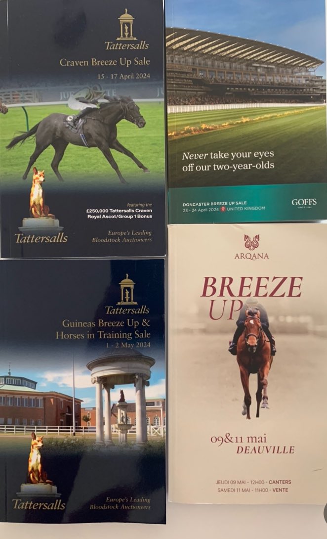 Ready to look for new additions to our team👀🌼 @Tattersalls1766 @GoffsUK @Goffs1866 @InfoArqana @MarcoBotti