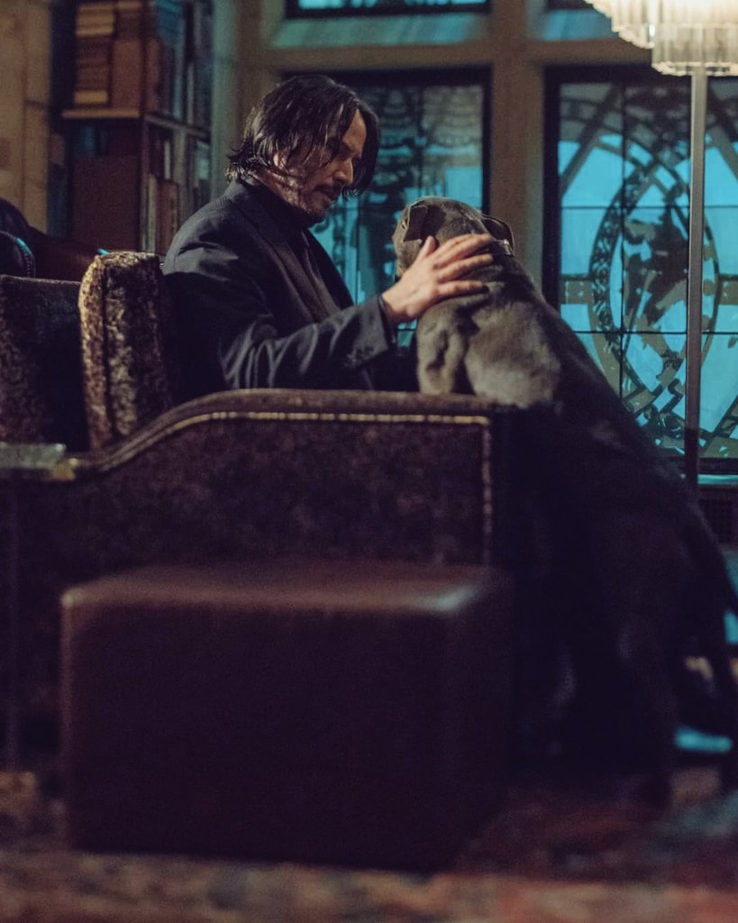 Motayo (@bad_iru) on Twitter photo 