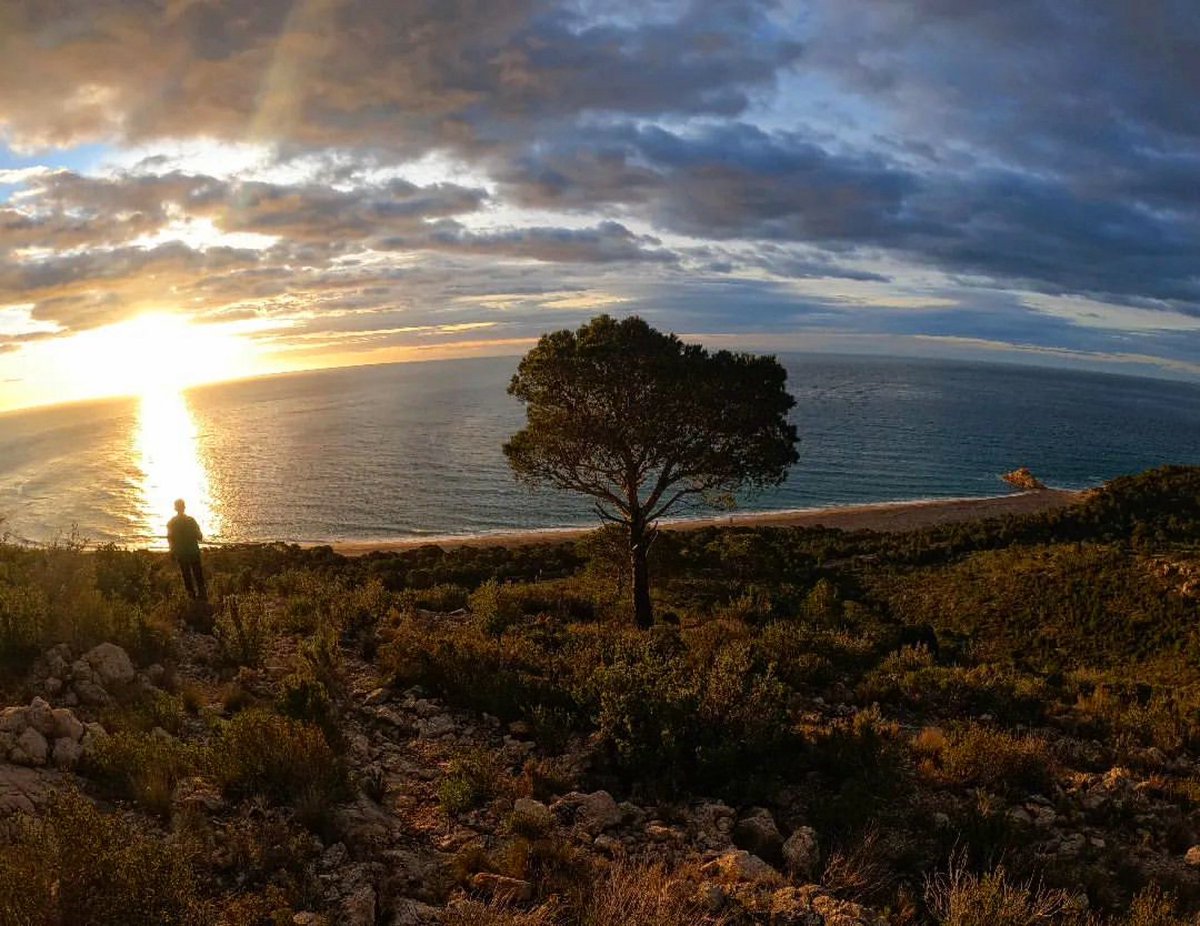 Aquest cap de setmana farà un temps quasi d’estiu… quina proposta preferiu: excursió a la muntanya o la fresqueta a la platja? Foto a Instagram : @markos285 

#hospitaletdelinfant #costadaurada #catalunyaexperience #marimuntanya #naturaleza #hiking #senderisme #natura