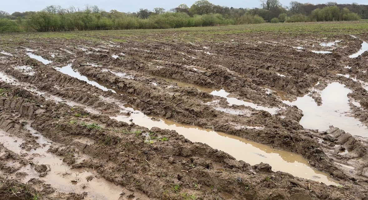 Amid one of the wettest winters and springs in living memory, NFU Cymru has raised a series of key asks to Welsh Government to assist farmers hamstrung by the ongoing poor weather and ground conditions nfu-cymru.org.uk/news-and-infor…