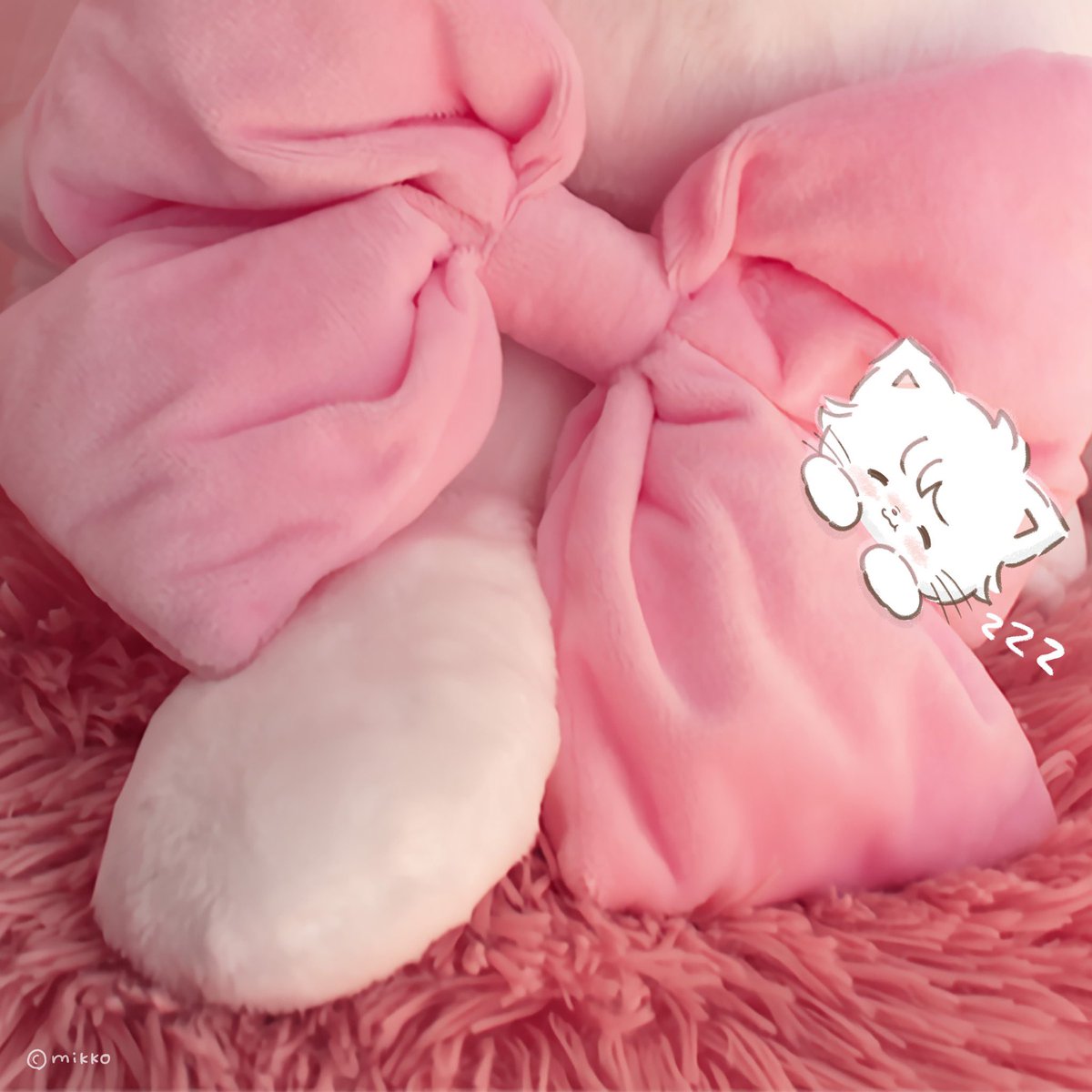 🐱｛💤