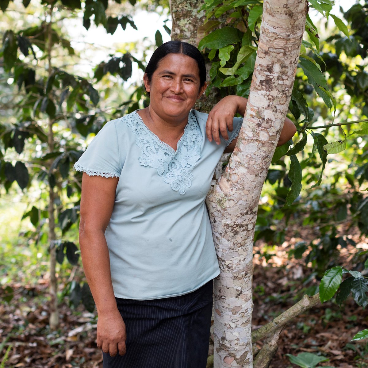 👋 Meet Celmira, the president of the Pacaypite Women Entrepreneurs Association in #Peru. When the pandemic struck, her community was hit hard. With help from an IFAD-supported program, the association worked with families to build back while protecting the environment 🤝🌿