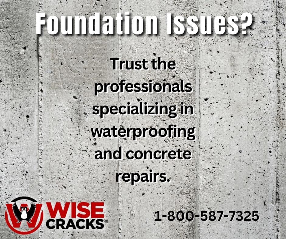 #basementwaterproofing #drybasement #leakybasement #homerepair #foundationrepair #concreterepair #sumppumps #realestate