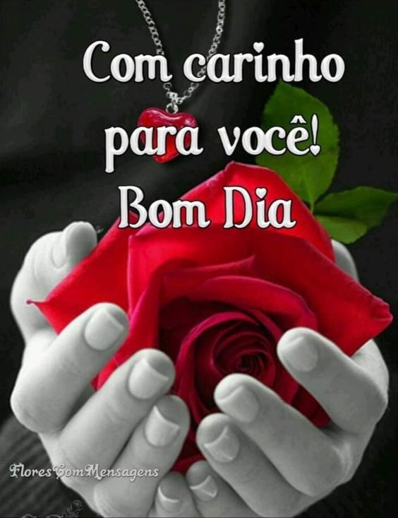 Renato Vilarim 🇧🇷🇧🇷🇧🇷 tweet media