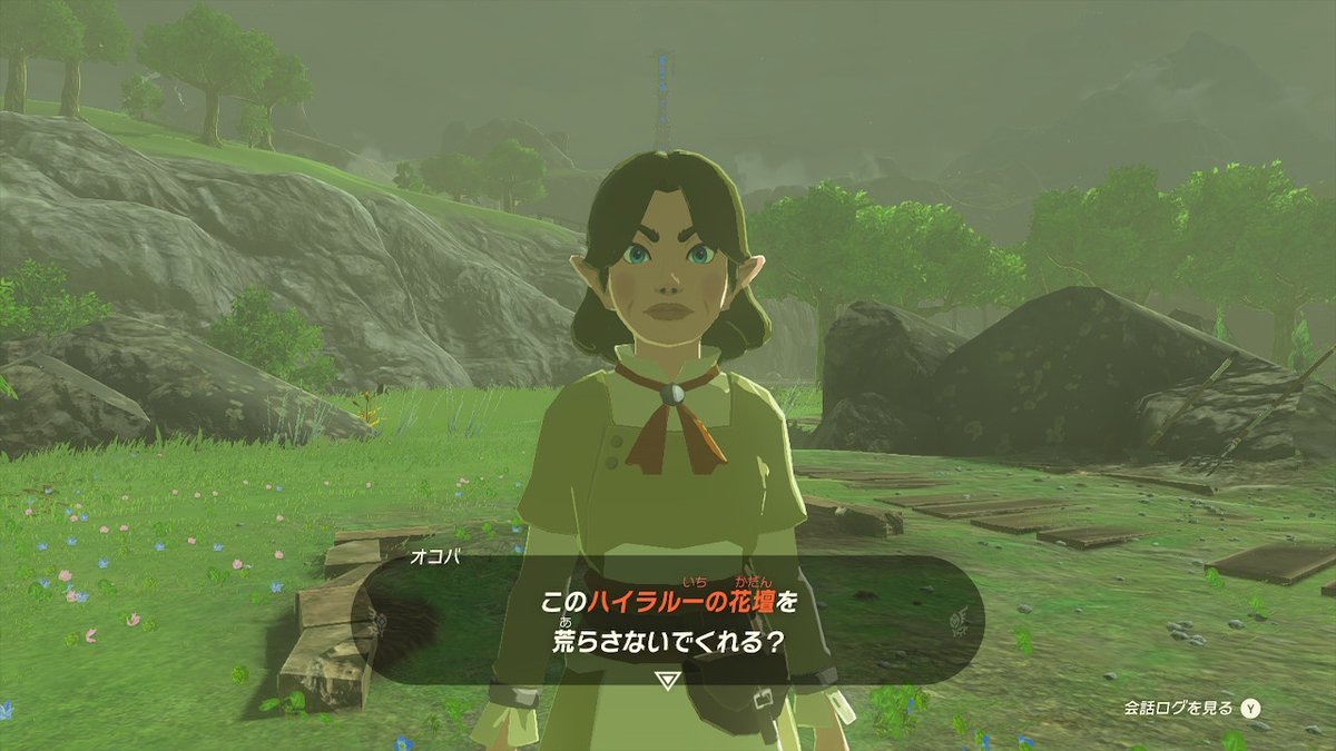 どの？ #ゼルダの伝説 #TearsOfTheKingdom #Zelda #NintendoSwitch