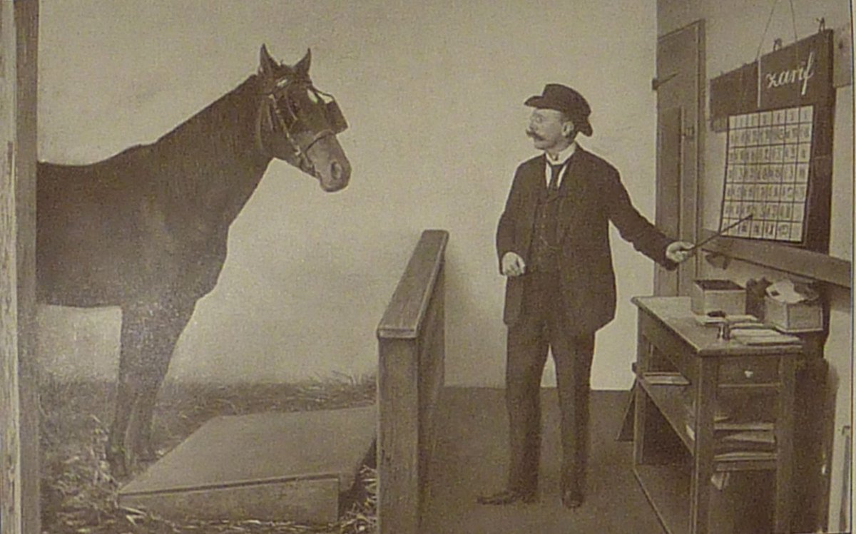 What does a horse from the early twentieth century called Hans have to do with AI? We reveal all…

Please follow the link below to read the full article:
smithfieldagency.com/insights/beyon…

#AI #marketingstrategy #personalisation
