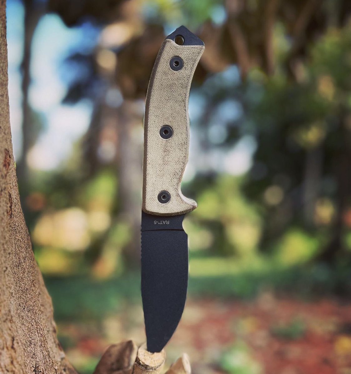 The #RAT5 travels well for a mid size tool! The #1095steel and #MicartaHandles are ultra durable! 👌🏽🔪🐀 #LegacyAdventureExplore 
#ontarioknifecompany #ontarioknife #ontarioknives #ontarioknifeco #OKC1889  #hunting #camping #hiking #outdoors #tools #gear #quality #bushcraft