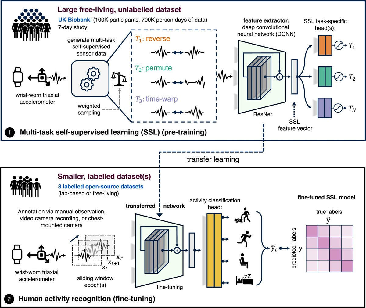 Happy to announce our foundation model for wearables published at npj Digital Medicine today. This model sets a new standard in #Wearables, significantly outperforming human activity recognition benchmarks in diverse conditions. 🚀 nature.com/articles/s4174…