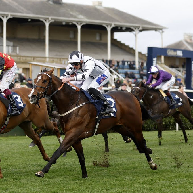 Next on the agenda for #Marshman is the Group 3 Abernant Stakes at @NewmarketRace next Thursday over 6f. 16 entries today, declarations are next Tuesday, hoping we can go one better than last time out. 🏇