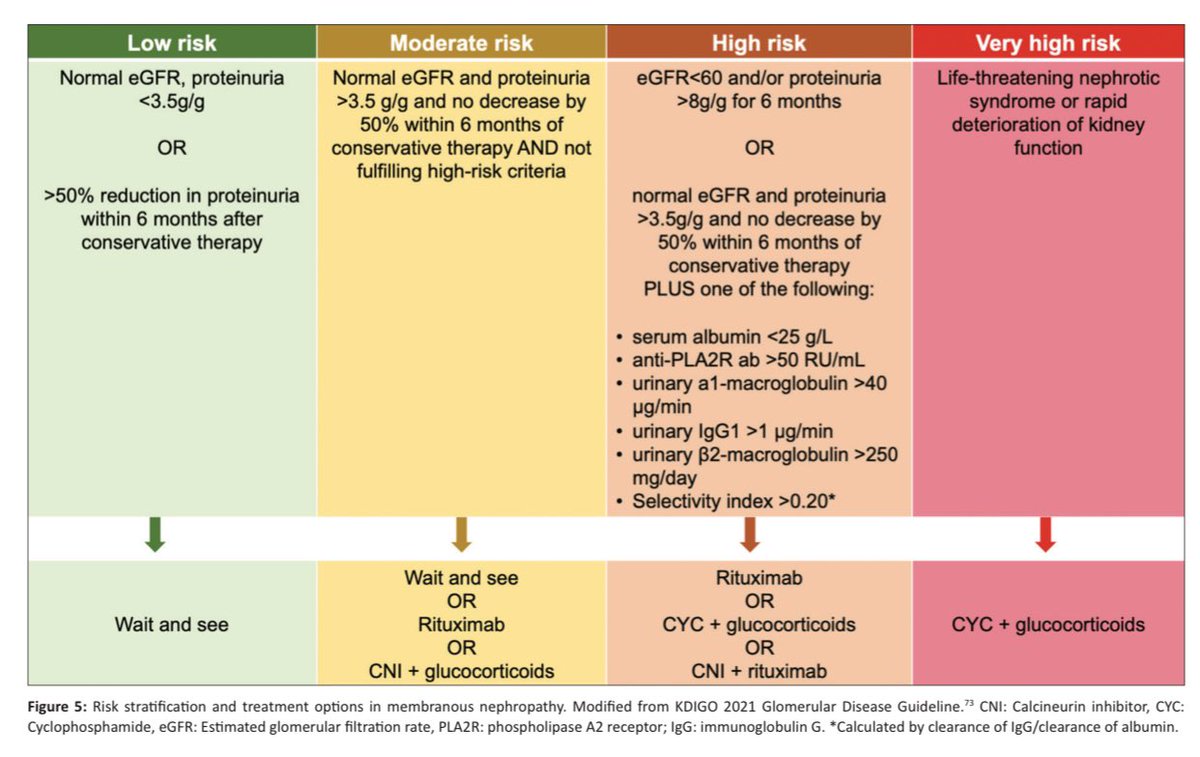 edgarvlermamd's tweet image. Updated Review of Membranous Nephropathy ca. 2024 from @indianjnephrol @OrhanEfe_ @nikkonephro @AnandhUrmila @NWiegley @GlomCon #Nephpearls

👉🏼 indianjnephrol.org/an-updated-rev…