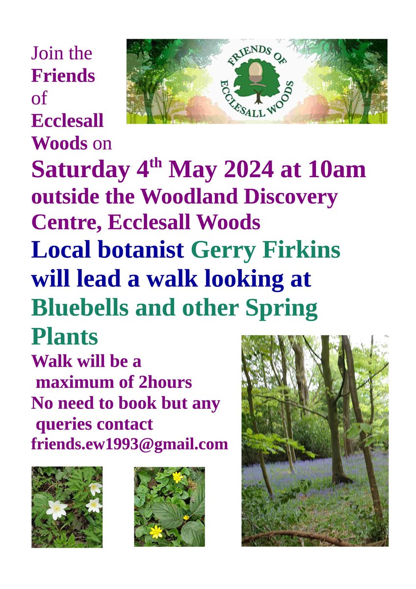 🌻🥀🌷 Saturday 4th May 2024 - 10am: Friends of @Ecclesallwoods (FEW) #Bluebells & Other #Spring Plants Walk, with Local #Botanist Gerry Firkins. Any queries email: friends.ew1993@gmail.com. We're open throughout. We Open Tues-Sun / 10am-4pm. @ParksSheffield #SheffieldIsSuper