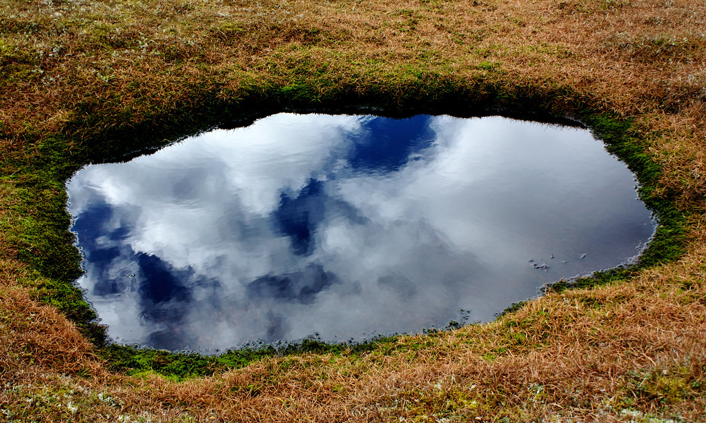 FirstChevalier's tweet image. Week 14 The Work of Peace in the Calm lesson is up on substack now. The link is in the first comment.
Link-markmalcolm.substack.com/p/week-14-the-…
Image-"Mirror pool" by Nick Bramhall is licensed under CC BY-SA 2.0.