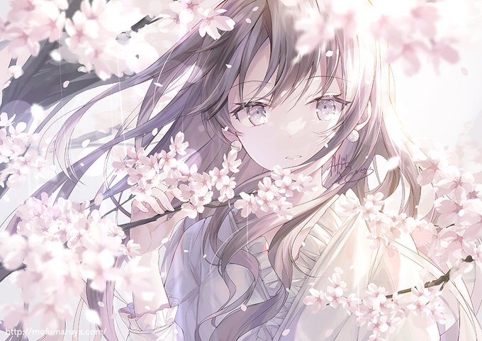 「cherry blossoms depth of field」 illustration images(Latest)