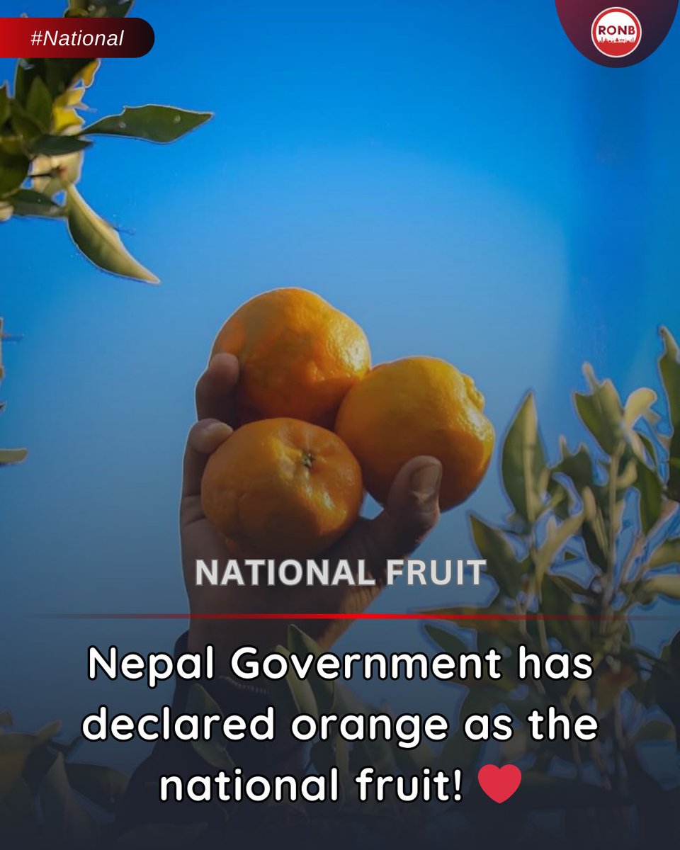 The government of Nepal has declared orange as the national fruit! ❤️