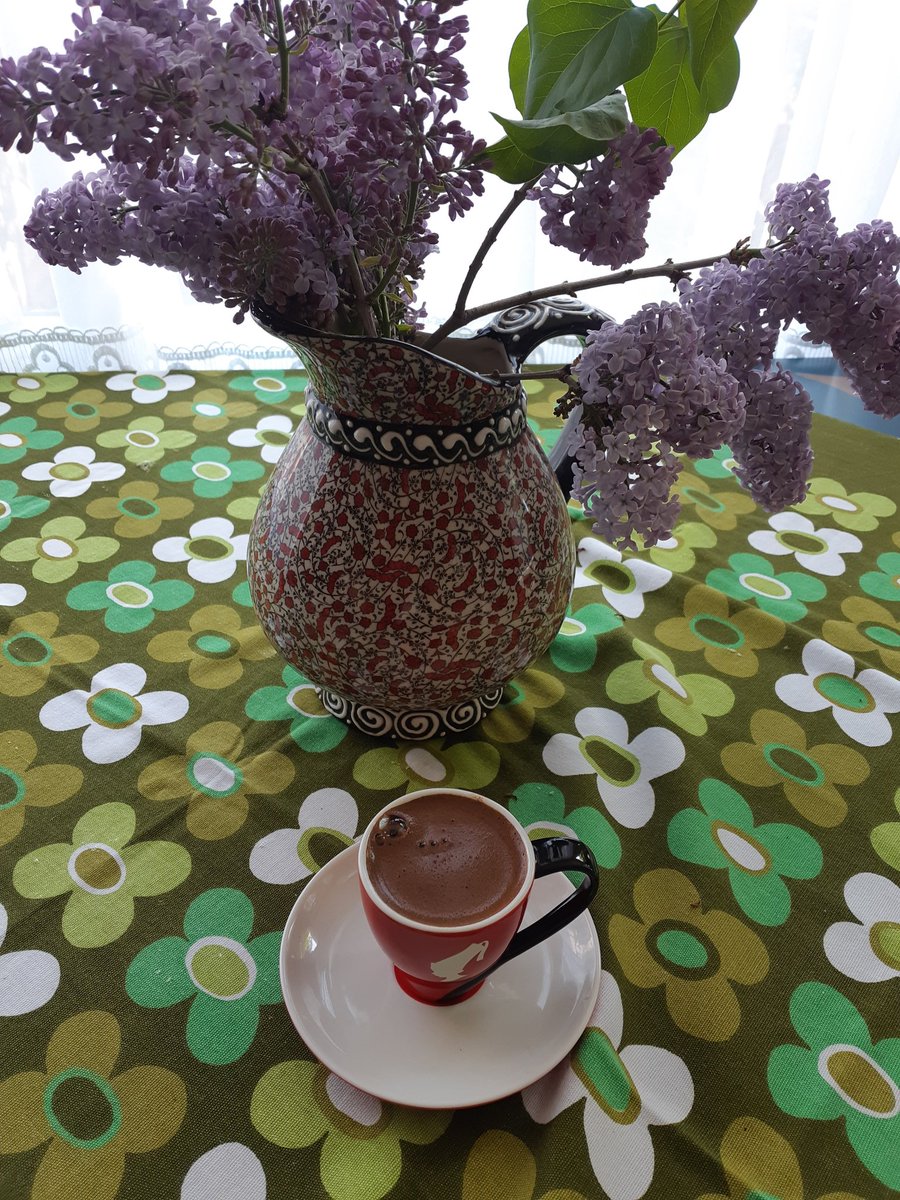 Bu sümbüller mis gibi kokuyor 🌺☕🥰