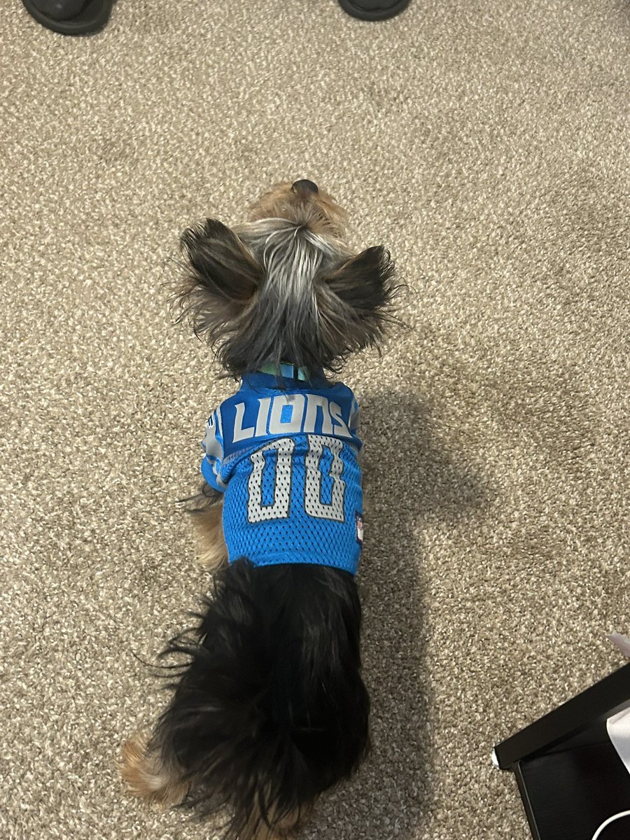 XCheelsX's tweet photo. @Lions @petsuppliesplus https://t.co/GRY2SphIEG