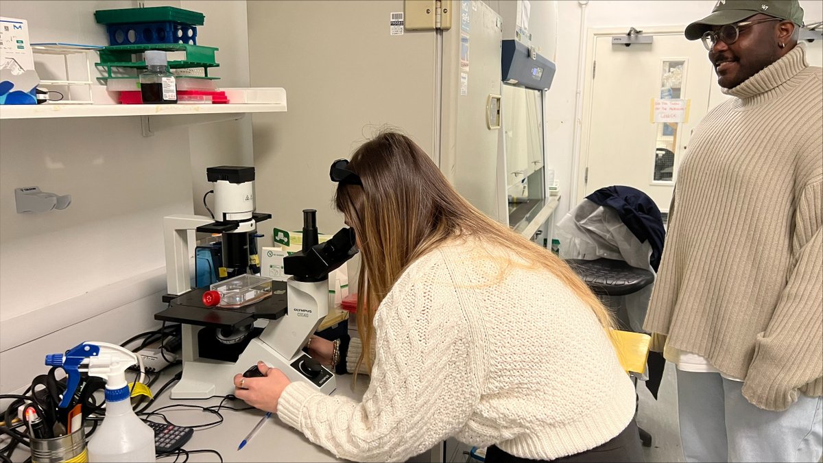PIPgen_ITN's tweet image. Exciting day at the lab! 🎨 Artist from #PIPgeneratingART program dives into the world of science, experiencing firsthand the daily grind of a PIPgen ESR in the lab. Creativity meets research! 
#ArtScience #ITNH2020 #researchimpact #researchdissemination  #MSCA