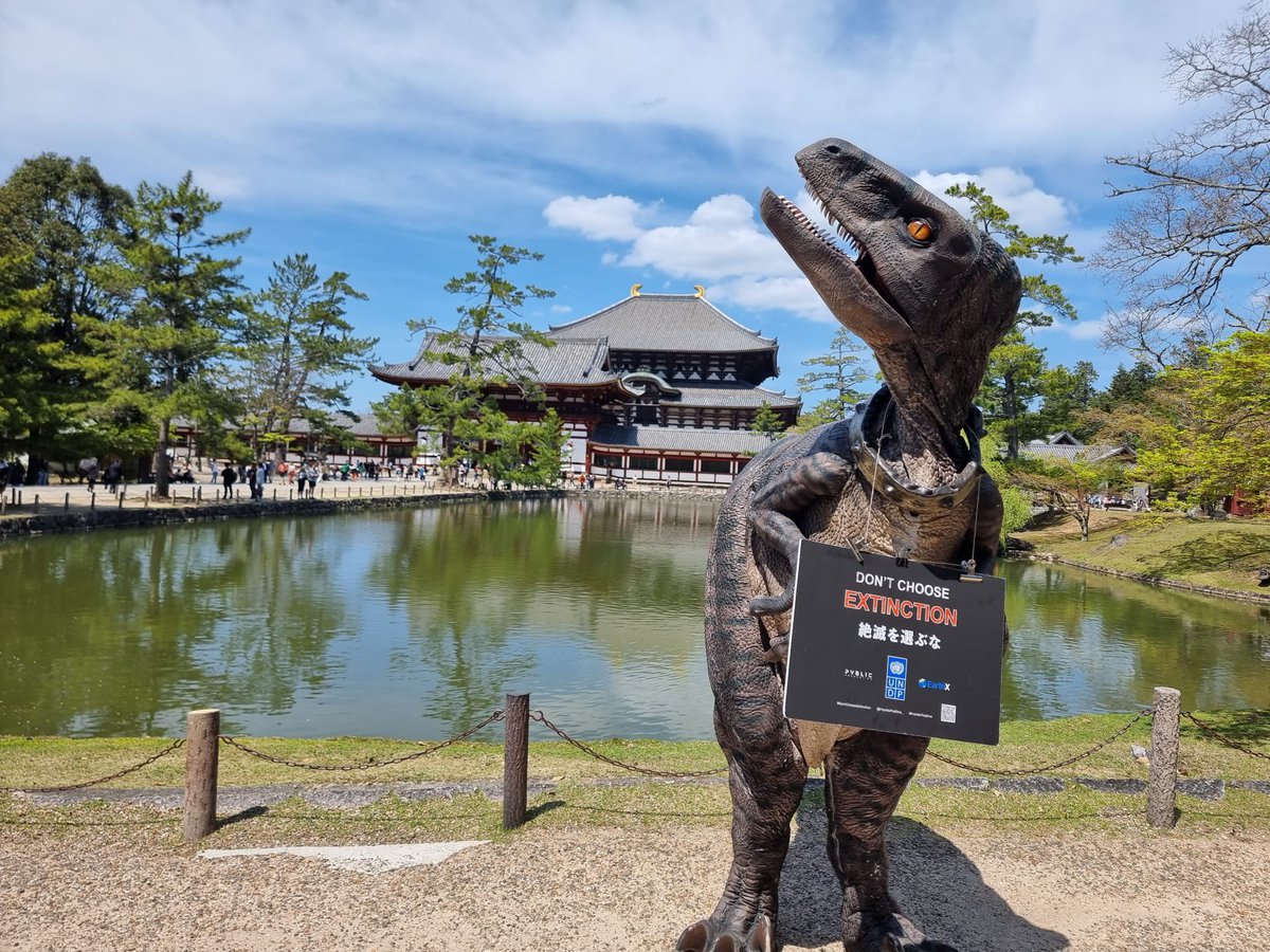 At the Todaiji Temple in Nara I met Ueno 

Ueno says that harmony can only be achieved if all living things prosper together. 
 
I couldn’t agree more. 
#DontChooseExtinction