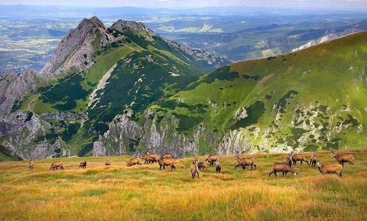 Giewont, Tatra Mountains (Poland).