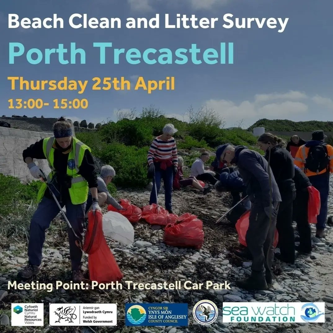 Seawatch_mon's tweet photo. Join us for a beach clean with the Anglesey AONB team 🌊

Ymunwch â ni i lanhau traeth gyda tîm yr AHNE Ynys Môn 🌊 https://t.co/o0SQiPq2zX