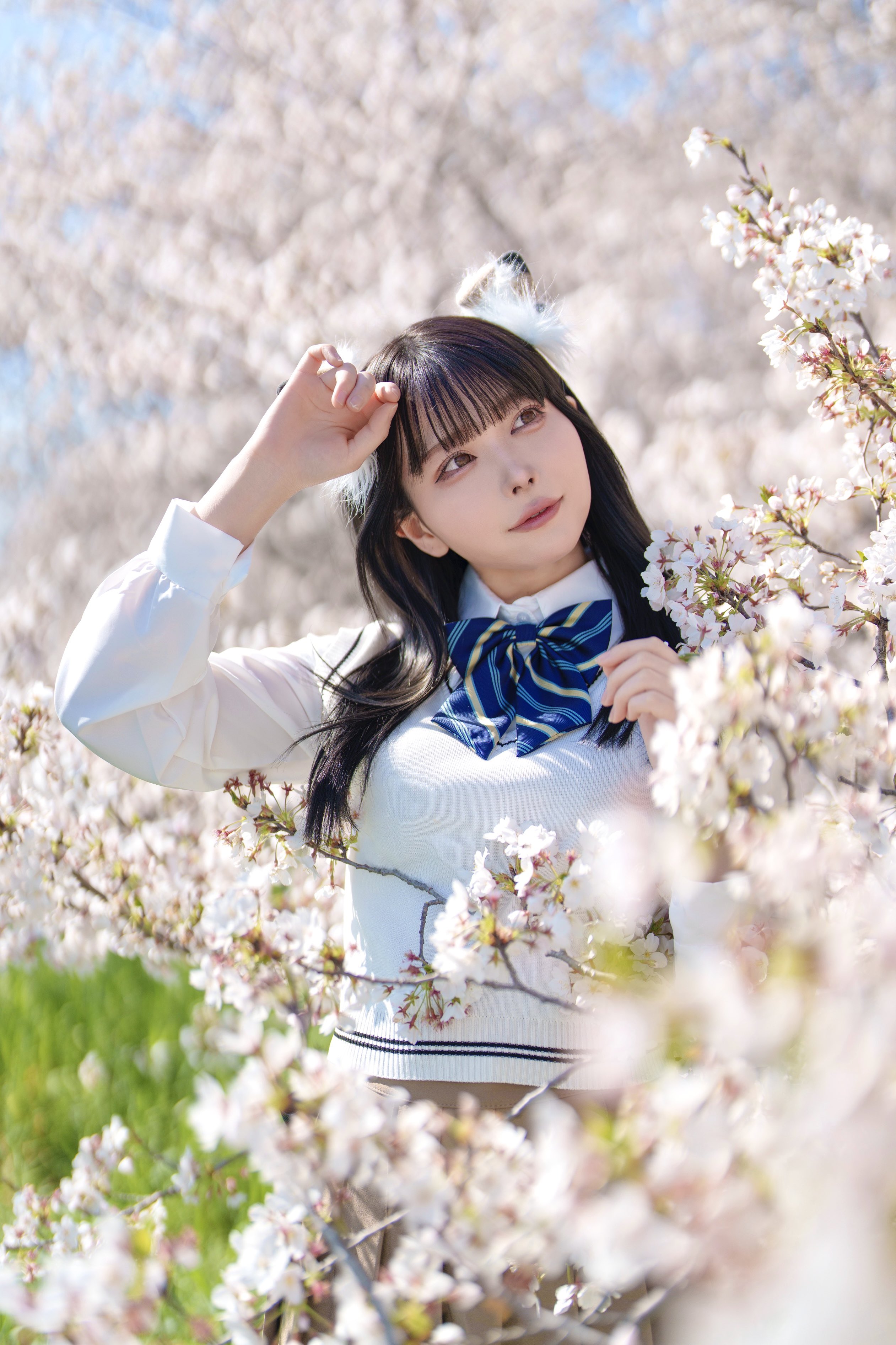 Amazon | KIMISS CDIボックスCDIレーシングCDI5ピンCDI