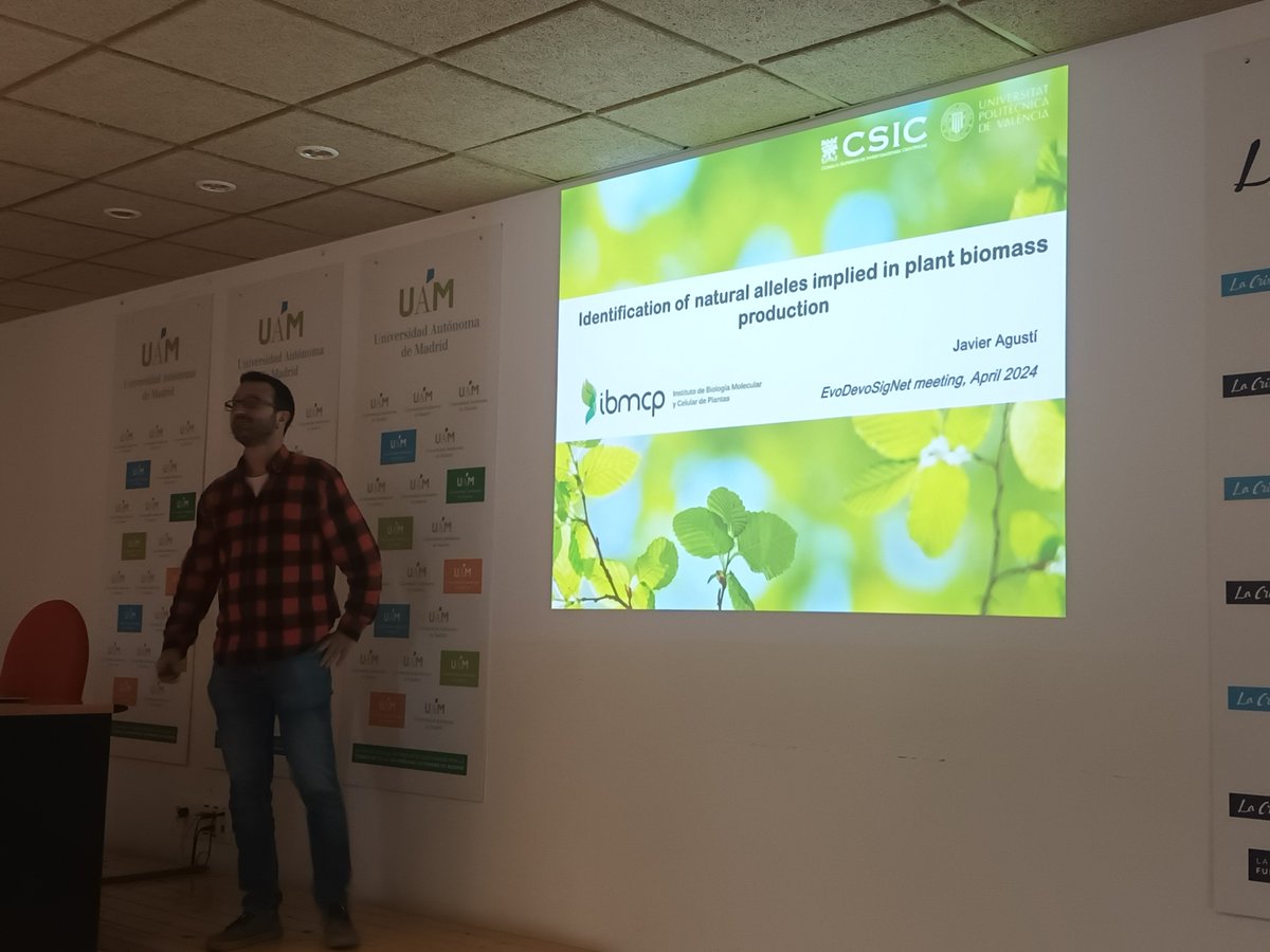 The first meeting @EvoDevoSigNet funded by @AgEInves closes with @agusti_lab sharing with us his work @IBMCP about the genetic basis of natural variation in plant biomass production