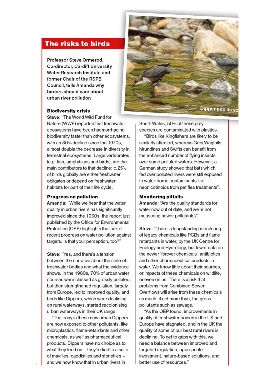 Our board member @SteveOrmerod is featured in the latest @BirdWatchingMag talking about why birders should care about urban #riverpollution birdwatching.co.uk