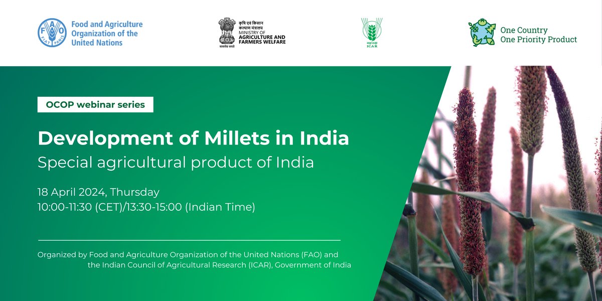#SaveTheDate | Webinar on 'Development of Millets in India', part of the @FAO One Country One Priority (OCOP) webinar series, organised in collaboration with @AgriGoI @icarindia. @FAOKnowledge 📅18 April 2024, Thursday ⏲️13:30-15:00 (IST) Register👉 bit.ly/49zgIwM