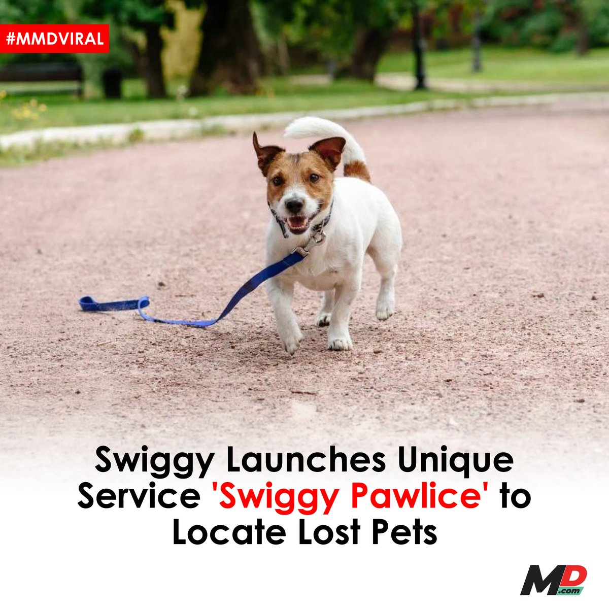 Food delivery giant, @Swiggy, has recently unveiled an innovative feature, Swiggy Pawlice. This unique service is designed to assist pet owners in finding their lost pets, leveraging the extensive network of Swiggy's delivery partners. Swiggy Pawlice was launched in…