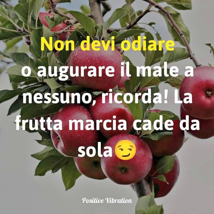 #VentagliDiParole