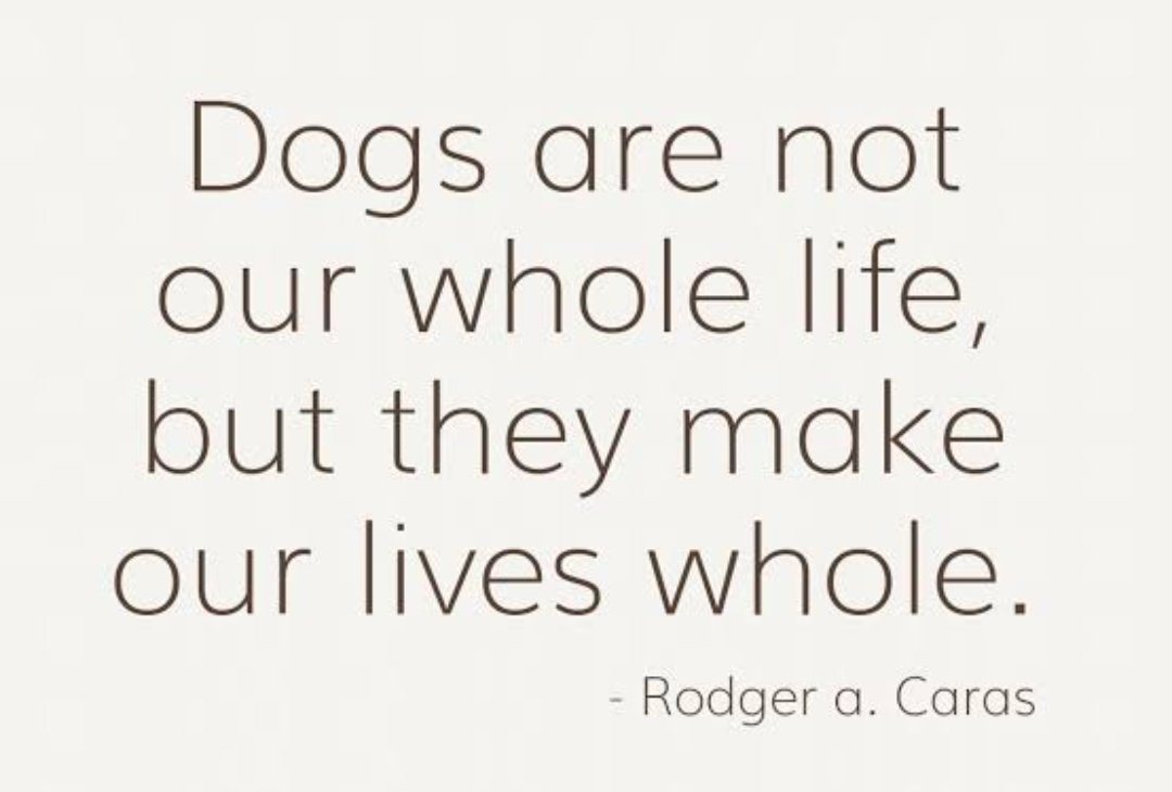 Fact 
#dogs #dogsarelove