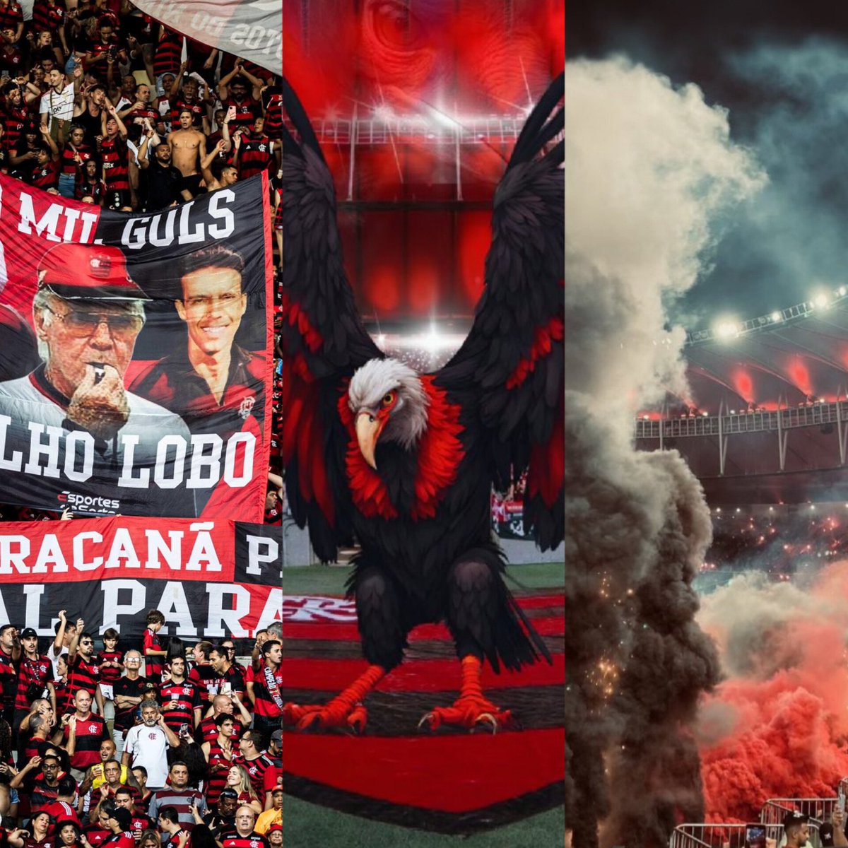 O Flamengo tem que ganhar tudo. Vai ganhar tudo? Talvez não! Mas para a torcida é vencer, vencer, vencer. Sempre foi assim, e por isso somos diferentes. Somos chatos, exigentes, orgulhosos e insuportáveis.