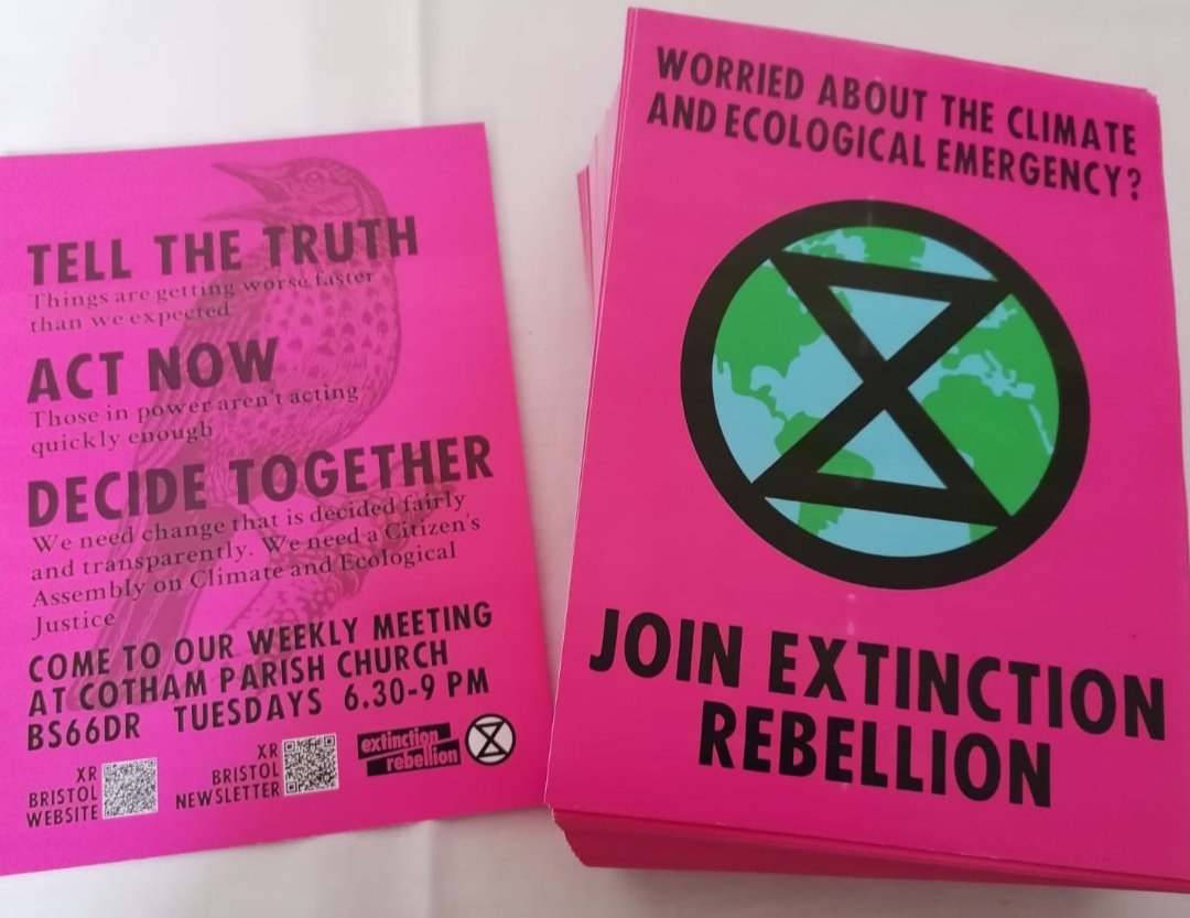 “Every part of society must act now to reduce greenhouse gas emissions to net zero by 2025 and begin protecting and repairing nature immediately” Extinction Rebellion second demand. extinctionrebellion.uk/the-truth/dema…