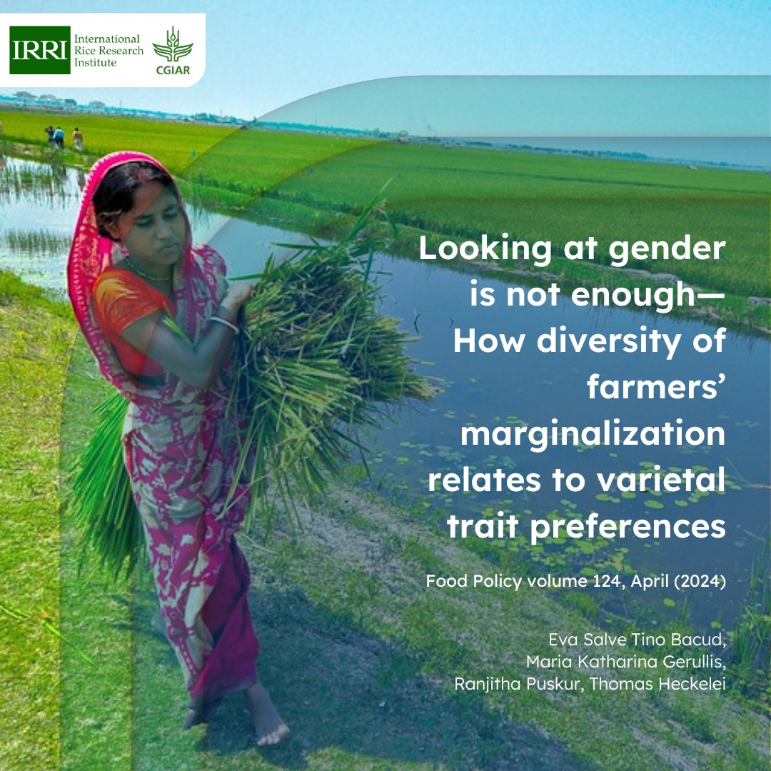 #ResearchSpotlight: A new study highlights the significance of understanding the intersection between gender and other social categories in studying crop trait preferences.

🖇️ Read more here: bit.ly/4cU0BNd
#WithScienceWeCan #RiceScience