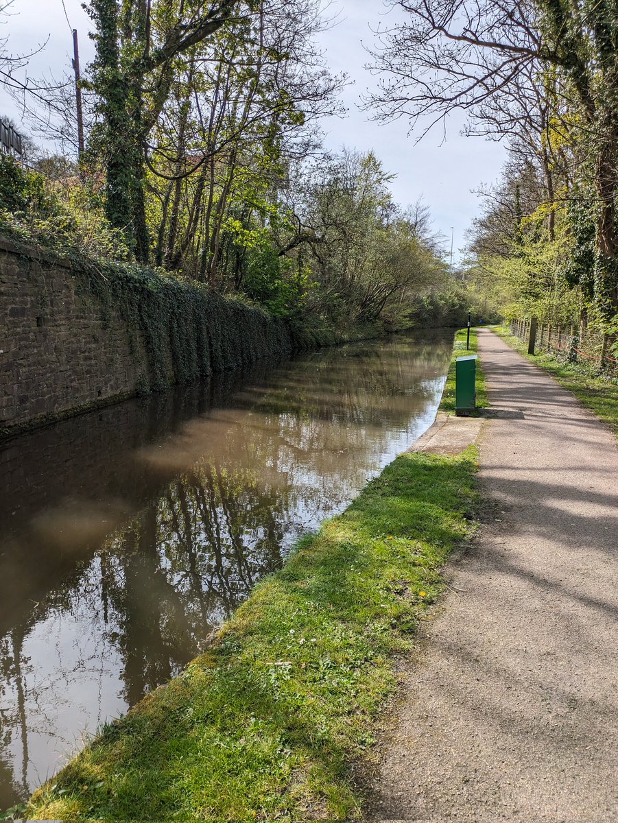 A lunchtime walk by the canal. Sun at last!
