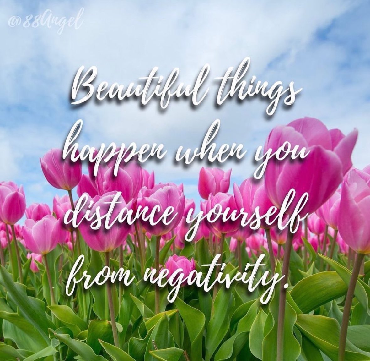 Beautiful things happen when you distance yourself from negativity. #fridaymorning #fridaydaymotivation #FridayFeeIing #fridaymood #friday #motivation #quotes #quote #Inspiration #inspirationalquotes #inspirational
