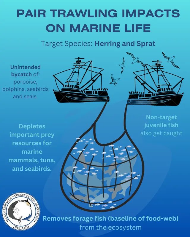 🆘 Less than 10 minutes left! 🆘

Please use this link to send an email ASAP to ban all vessels from pair trawling within the 6nm zone! 

tinyurl.com/bantrawling6-nm