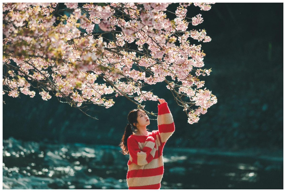 桜が春の訪れを告げる

model: 日向くるみ
#日向くるみ
#くるひな
